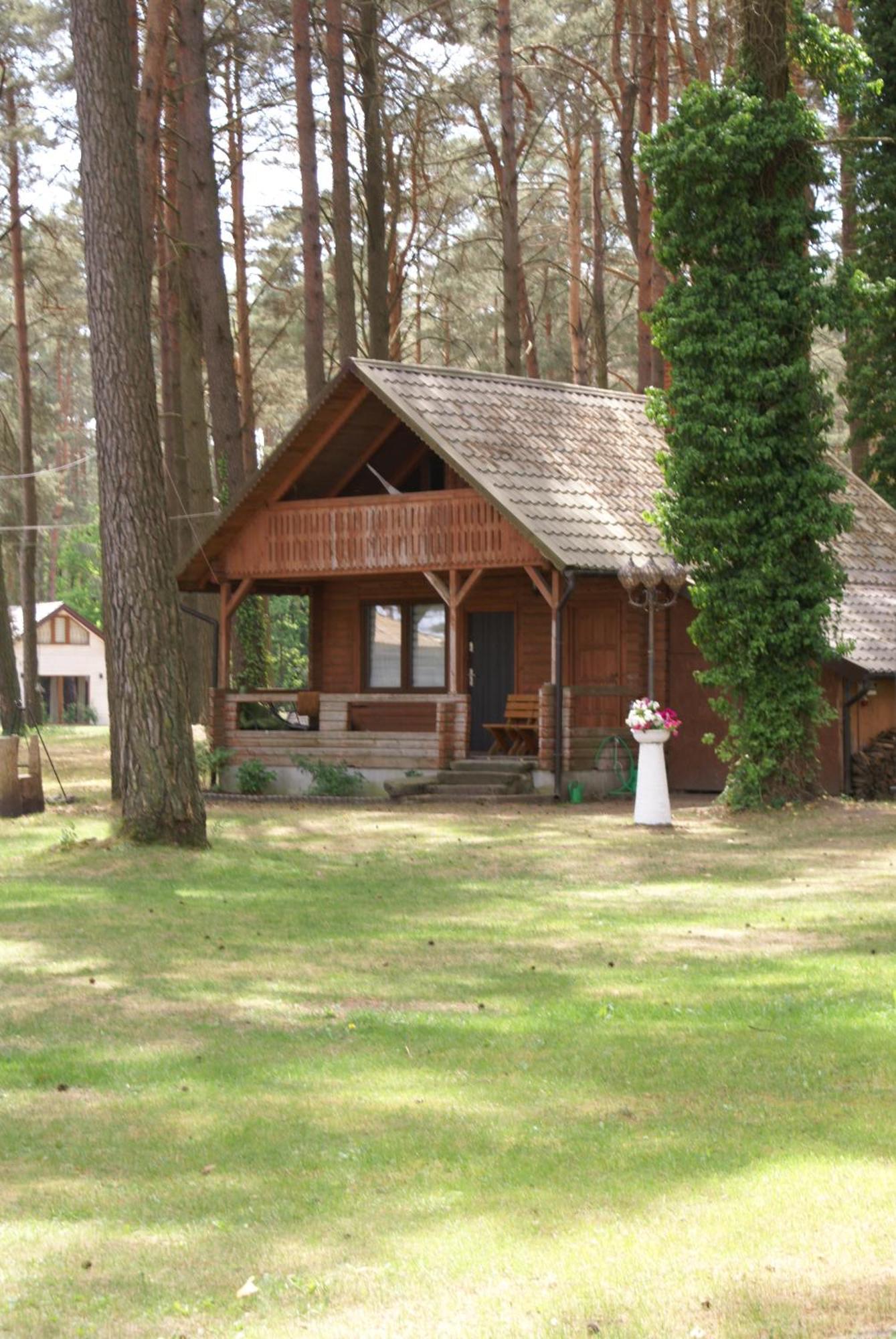 Mazurski Osrodek Szych Bogusze 外观 照片